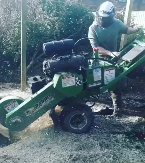 sheffield-tree-surgeon-stump-grinding